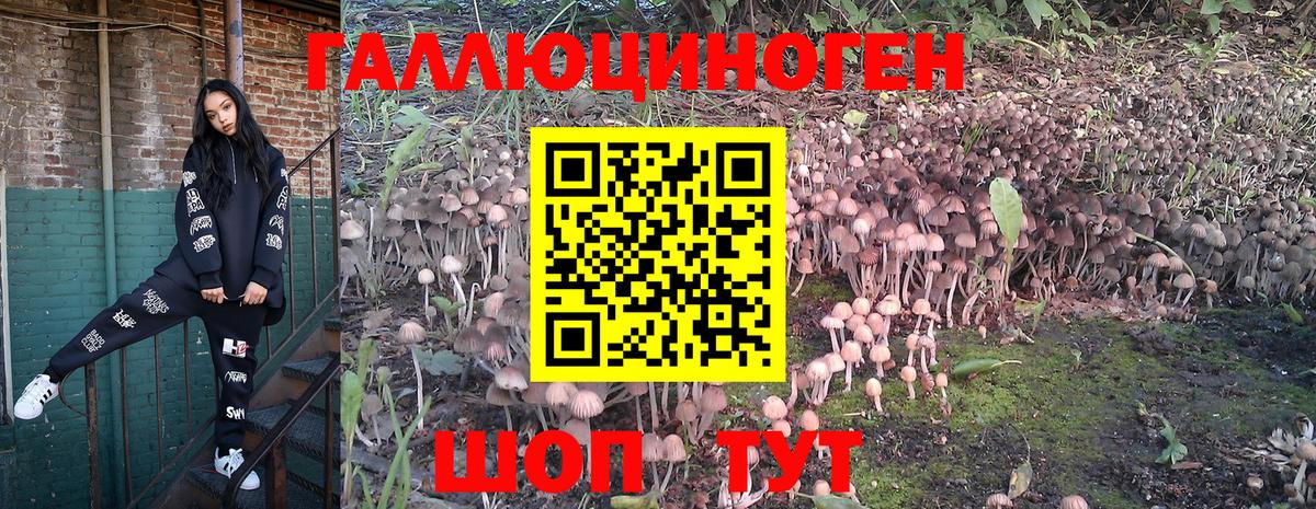 Галлюциногенные грибы Magic Shrooms Лабинск