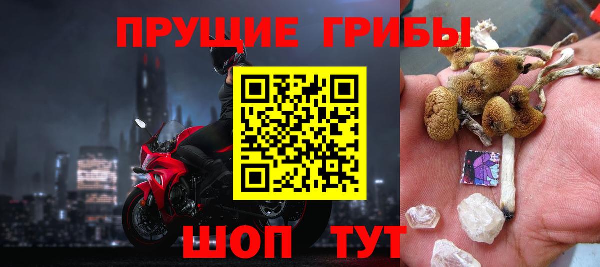 Псилоцибиновые грибы Cubensis  закладка  Лабинск  Вход с VPN  Галлюциногенные грибы мицелий 